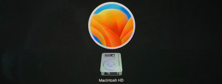 macOS Ventura and Macintosh HD